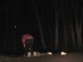 Tolland county tripple homicide-case video