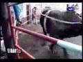 JARIPEO CON LOS TOROS DE SELECCION MICHOACANA
