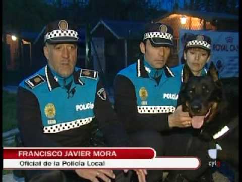 Imagen de previsualización de YouTube