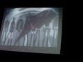 Otakon 2010 crowd reaction (Code Pocahontas AMV)