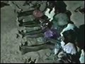 Great Andaman Tribal Dance