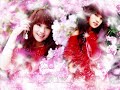 Rainie Yang - Ai Mei (with lyrics)