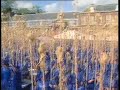 Mentos breda 15 september World Record