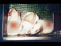 Experimentacion con animales