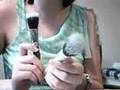 Face Brush Review: MAC, Everyday Minerals, Coastal Scents