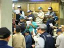 Auction at Tsukiji Fish Market, Tokyo