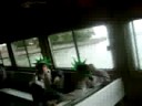 New York Field Trip