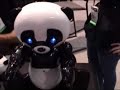Weird Robotic Panda from Wow Wee