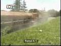 Tren de Belgrano Cargas en Dumesnil