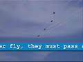 api  aviation preflight indoc 