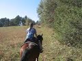 Galloping Kema
