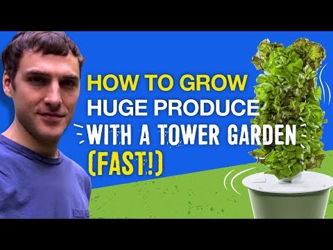 how to grow huge