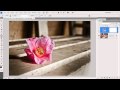 Selective colour in Photoshop - Quick Shots 7