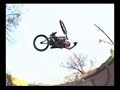 chase hawk - chil bro