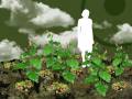 Skywoman | Indiander Kanadas