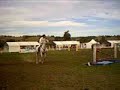 The 2007 Gawler Horse Festival - Show Jumping.