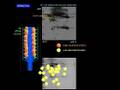 Proteomic depletion, antitrypsin: PMAP