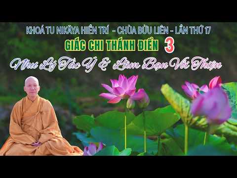 NIKAYA Giác Chi Thánh Điển 3 - Như Lý Tác Ý & Làm Bạn Với Thiện