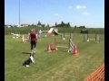 Chartres | mai. 2009 | agility