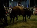 TORNEO ESPUELA DE ORO