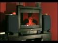 videos de celine