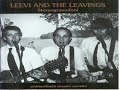 Leevi and the leavings - Itkisitkö onnesta