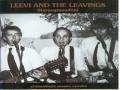 Leevi and the leavings - Itkisitkö onnesta