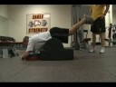 Floor Model Glute Ham Floor Model Glute Ham