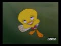 looney toons, bugs bunny-daffy duck CARROTBLANCA looney toons, bugs bunny-daffy duck CARROTBLANCA