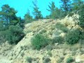 North Cyprus