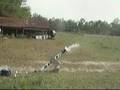 Dry Ice Potato Gun