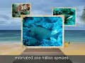 Tubbataha Reef - New7wonders