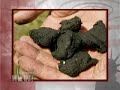 Toxic sludge being thrown on lawns in black neighborhoods