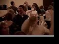 MAHA DEVA DANCE / SHIVA\