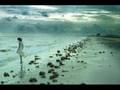 Assistir ao v�deo