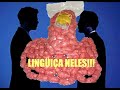 PSTU em Bragança: 1º Programa prefeito