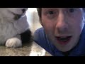 Thumbnail #3