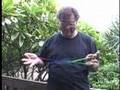 The Hanapepe Swinging Bridge String Figure
