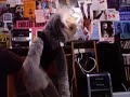 Puppet Fights Himself
