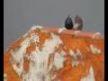 Buchones Jienneses Palomar ``Las Caballas´´