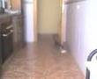 gala-y-su-pelota