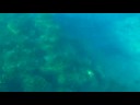 #3 BOOT Camp 14m deep #3 BOOT Camp 14m deep