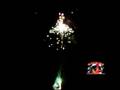 videos de Serpent Tail Firework