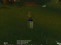 3 vs 1 Steelforge Dwarf warrior lvl 29 non twink