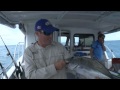 DARWIN REEF FISHING Pt1 Hooked On Tackle World Dave Butfield