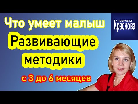 От 3-х до 6-ти месяцев От 3-х до 6-ти месяцев