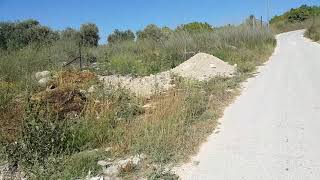#فلوق رقم 1:- جبل راشين في بلدة بلعا أعلى جبل في محافظة طولكرم 600 مترًا عن البحر . #فلوق رقم 1:- جبل راشين في بلدة بلعا أعلى جبل في محافظة طولكرم 600 مترًا عن البحر .