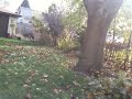3 legged hunter