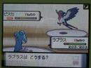 Pokemon battle Tattu- vs Youko (08.1.5)