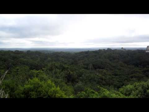 Image de prévisualisation YouTube